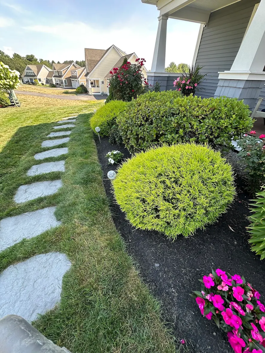 Stone slab walkway with black mulch beds and trimmed shrubs on a Southern NH property